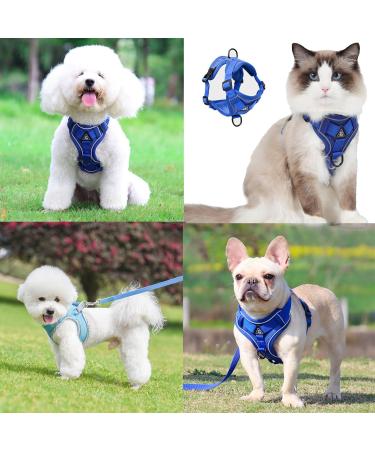 Adjustable Cat Dishes with Leash - Escape Proof Cat Harness & Leash for Kittens & Puppies | International Shipping - Buy Online on SooperMarket.com