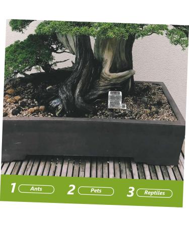 BESPORTBLE 2pcs Pet Water Feeder Ants Feeding Bowl Ants Nest Water Feeder Ants Water Feeding Plastic - Buy Online on SooperMarket.com