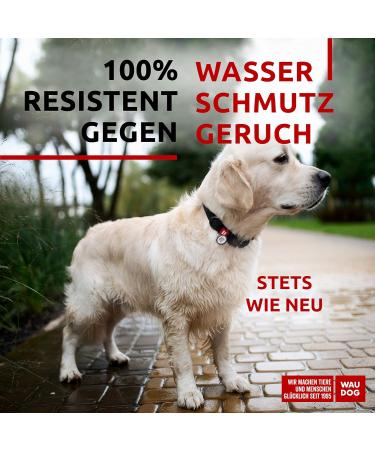Waterproof Adjustable Dog Collar for Big & Medium Dogs | Small Dog & Puppy Collars | Durable Metal Closure - Waudog - Buy Online on SooperMarket.com