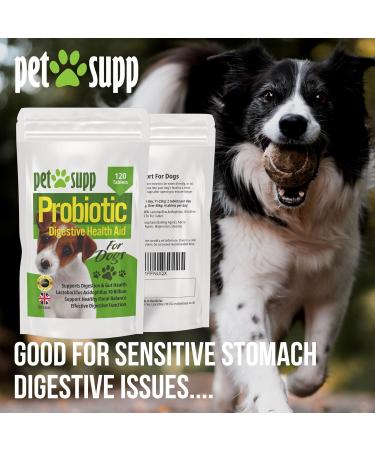 PetSupp Probiotics for Dogs Good Stomach & Gut Health 120 Probiotic Tablets Handy Re-Sealable Bag. - Buy Online on SooperMarket.com