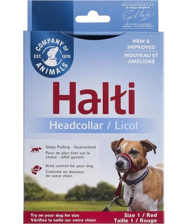 Company of Animals: Halti Headcollar & Double Ended Training Lead Pack suitable for Small Medium and Large dogs - Buy Online on SooperMarket.com