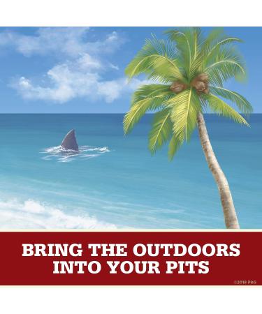 Old Spice Aluminum-Free Deodorant for Men Fiji 3 Oz (Pack of 3) - Palm Tree Scent - Inspired by Nature - Buy Online on SooperMarket.com