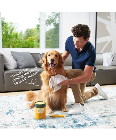ZOOP Extra-Large Pet Wipes/Towels - Eliminates Whole-Body Odor | Grooming Bath Towels for Dogs & Cats | Fragrance-Free | 10 Count - Buy Online on SooperMarket.com