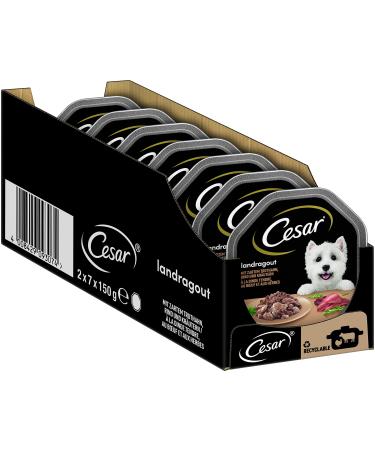 Cesar adult dog water feed landragout with a delicate turkey beef and herbs 14 shells 14x150g - premium dog food wet without added sugar artificial aroma or dye land kitchen PUTe & beef 150 g (14 Pack)