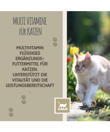 Emma Cat Vitamins 100ml | High Dose B Complex & Essential Nutrients for Immune Support | Vitamins A B12 D E Iron Zinc Selenium & L-Lysine - Buy Online on SooperMarket.com