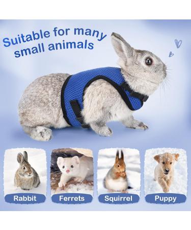Adjustable Soft Rabbit Dishes & Elastic Leash for Small Pets - Kitty & Bunny Walking Set (Blue XS - 20-27.5cm) - Buy Online on SooperMarket.com