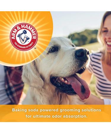 Arm & Hammer Super Deodorizing Spray for Dogs | Baking Soda Odor Eliminator | Kiwi Blossom Scent | 20 Fl Oz - 2 Pack - Buy Online on SooperMarket.com