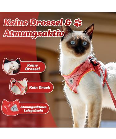Supet Cat Dishes - Soft Cat Vest with Leash for Kittens & Small Dogs (Chihuahua) - L Size (Chest 38-43 cm) - Durable & Stylish in Red - Buy Online on SooperMarket.com