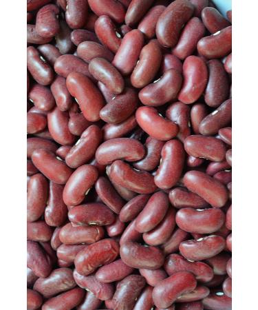 Mynatura Organic Kidney Beans 2kg Soaking & Cooking | Premium Red Beans for International Shipping - Buy Online on SooperMarket.com
