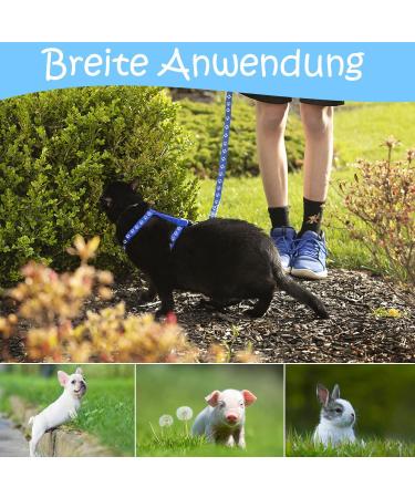 Adjustable Nylon Cat Leash Set - 2 Pieces with Lady Beetle Print & Soft Cat Dishes for Kittens Puppies & Rabbits - Pink & Blue - Buy Online on SooperMarket.com