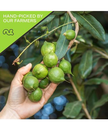 Raw Unsalted Macadamia Nuts (32oz) - Superior Quality, Freshly Packed, Healthy Snack - Keto Friendly, Vegan, Kosher - Buy Online on SooperMarket.com