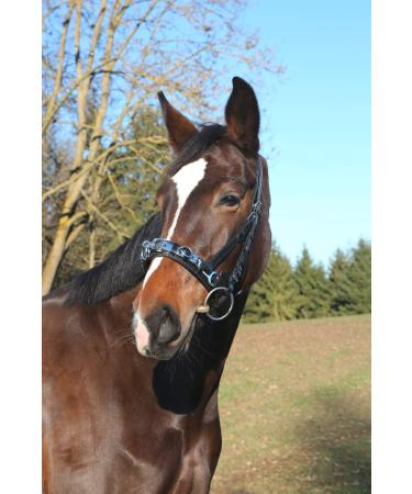 Kerbl Leather Exclusive VB Incl. Bit Strap Cavesson Black Thoroughbred