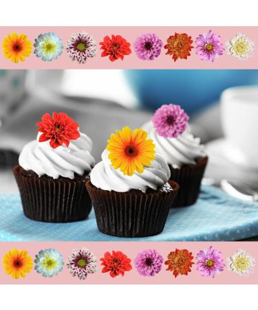 24 x Precut Dahlia Flower Edible Wafer Paper 2D Floral Cupcake Topper Decoration For Cakes