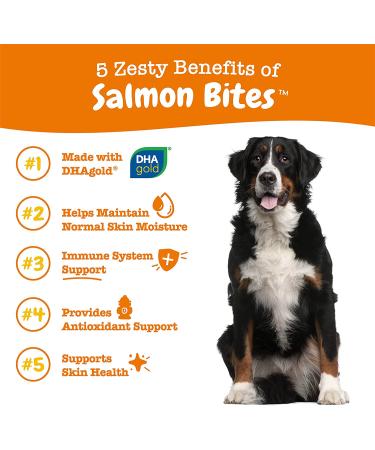 Zesty Paws Salmon Bites â€“ Skin & Coat Chews for Dogs | 90 Soft Chews, All Ages - Buy Online on SooperMarket.com