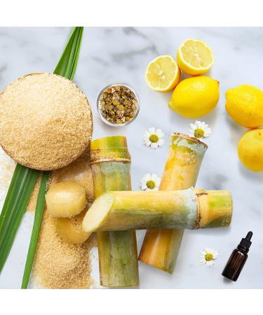 Parissa 100% Natural Face & Body Sugar Wax for Sensitive Skin - At-Home Waxing Kit with Chamomile Sugar Wax - Includes 20 Epilation Strips and 3 Wooden Spatulas - Buy Online on SooperMarket.com