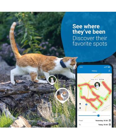Tractive Waterproof GPS Cat Tracker - Dark Blue | Unlimited Range & Activity Monitoring - Buy Online on SooperMarket.com