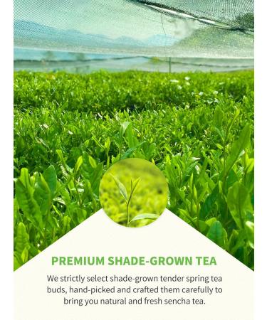 TeeLux Sencha Green Tea Loose Leaf | Premium Shade Grown Gyokuro | Smooth & Refreshing Taste | Hot & Cold Brew | 114g/4oz - Buy Online on SooperMarket.com