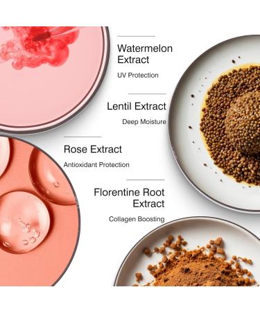 Dr Sebagh Rose de Vie Hydrating Face Mask - Jet Lag & Overnight Moisturizer for Glowing Skin - Hydrating Mask for Beautiful Radiant Skin (3.38 fl. Oz.) - Shop Internationally - Buy Online on SooperMarket.com