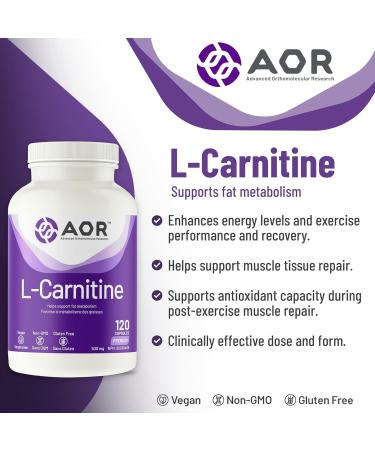 AOR - L-Carnitine 500mg 120 Capsules Pure L-Carnitine Tartrate Supports Energy Metabolism Muscle Recovery & Athletic Performance Promotes Fitness Goals L-Carnitine Capsules for Active Lifestyle - Buy Online on SooperMarket.com