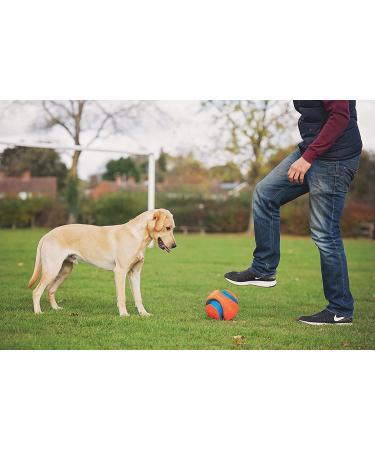 Chuckit! Large Regular Glow Ball - Bright and Durable Fetch Toy - Buy Online on SooperMarket.com