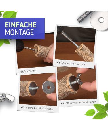 Buy Pack of 5 Stainless Steel Branch Screws for DIY Bird Toys & Perches | Secure Cage Fastening - Buy Online on SooperMarket.com