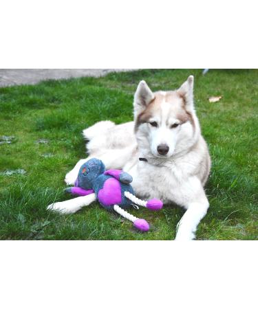 Rosewood Ruby Rabbit Dog Toy multi-colour 1 Count (Pack of 1) - Buy Online on SooperMarket.com