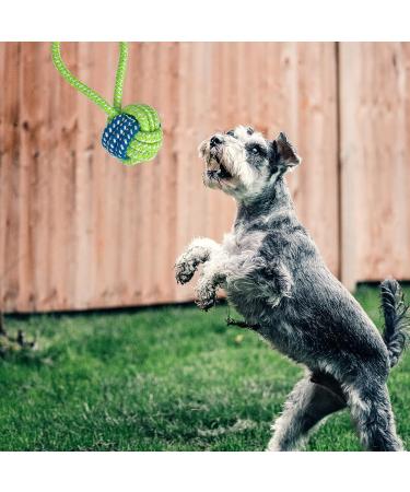 BOMPOW Puppy Teething Toys from 8 Weeks Interactive Dog Rope Toy Natural Cotton Dog Chew Toy 7 Packs  - Buy Online on SooperMarket.com