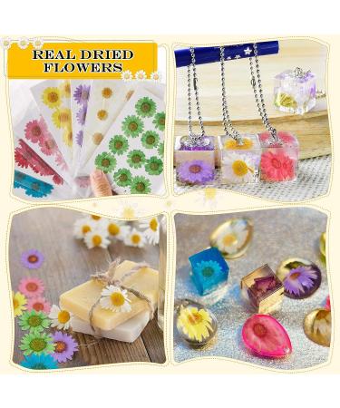 84 Pieces Real Dried Pressed Flowers - Natural Daisy Variety for DIY Crafts & Decorations - 7 Colors - Resin Casting, Jewelry, Candle, Soap Making Supplies - Buy Online on SooperMarket.com
