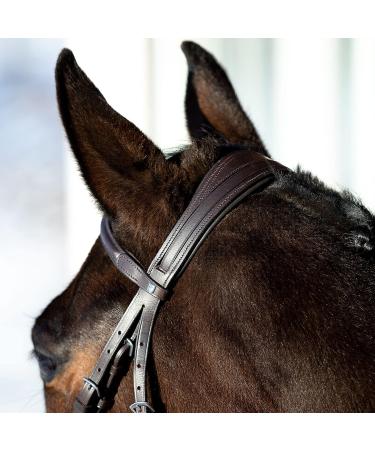 HORZE Prescott Figure 8 Bridle - Brown, Horse Size - Buy Online on SooperMarket.com