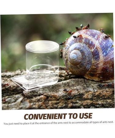 VILLFUL Pet Water Feeder Ant Waterer Ant Nest Water Cup Ants Food Dispenser Ant Feeding Cup Ant Water Feeders Ant Keeping Water Feeding Cup for Ant Nest Ant Nest Supplies Ant Feed Bowl - Buy Online on SooperMarket.com
