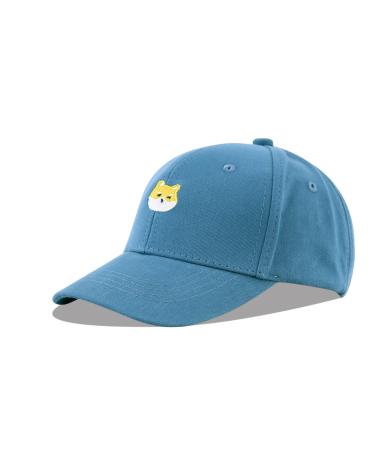 LANGZHEN 100% Cotton Outdoor Children's Kids Plain Baseball Cap Hat Adjustable Sun Hat for Girls Boys S Embroidered-Blue