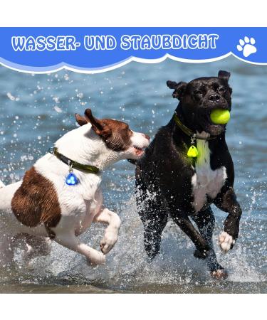 5-Piece Silicone Dog LED Light Keychain | Waterproof Security Pet Lights for Dogs & Cats 3 Flashing Modes - Buy Online on SooperMarket.com