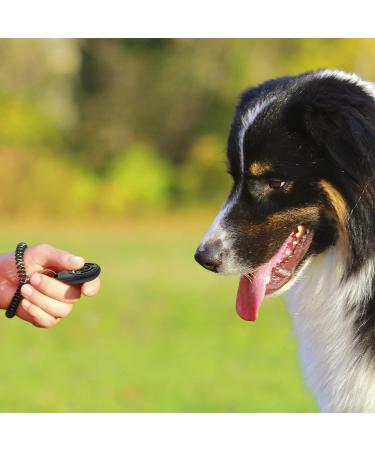 Truepets Dog Clicker Set - Flexible Hand Loop Clickers for Effective Dog Training - Clicker DOOG (Black/Blue) - Buy Online on SooperMarket.com