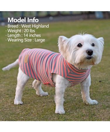 KYEESE 2Pack Dog Coat Turtleneck Sweater for Small Dogs, Grey XL, Sleeveless Design - Buy Online on SooperMarket.com