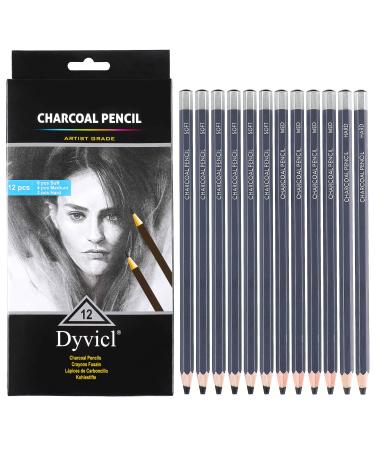 Dyvicl Professional Charcoal Pencils Drawing Set - 12 Pieces Soft  Medium & Hard Charcoal Pencils for Drawing  Sketching  Shading  Artist Pencils for Beginners & Artists