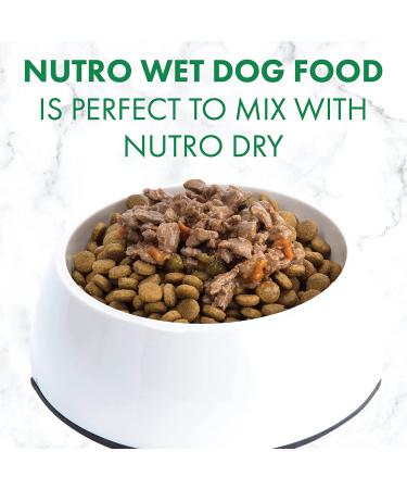 NUTRO Adult High Protein Grain-Free Wet Dog Food Variety Pack - Beef, Lamb, Chicken, Turkey - 36 Pack x 3.5oz - Buy Online on SooperMarket.com
