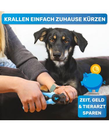 Bluepet Krallensch n Profi Claw Scissors for Dogs & Cats | Safe Nail Trimming with Spacers | Includes Nail File - Bestseller Size M-L - Buy Online on SooperMarket.com