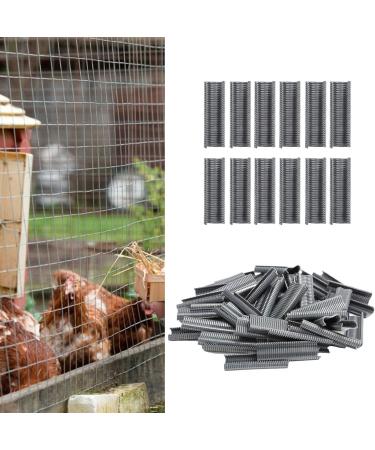 M Nails Durable Cage Staple Not Reusable Economical And Practical for Foxes Cages Home - Buy Online on SooperMarket.com