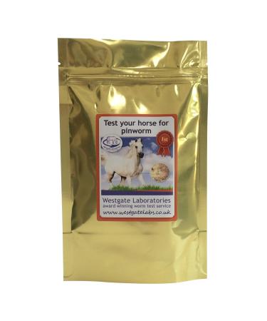 Westgate Laboratories Pinworm Test Kit - Clear Standard