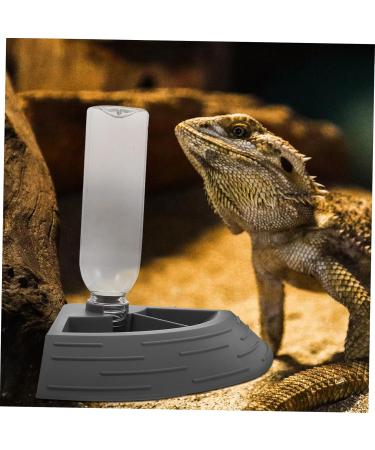 BELLIFFY Turtle Drinker Auto Feeder Reptile Food Bowl Automatic Reptile Feeder Automatic Waterer Pet Plastic 17.00X17.00X3.50CM Grey - Buy Online on SooperMarket.com