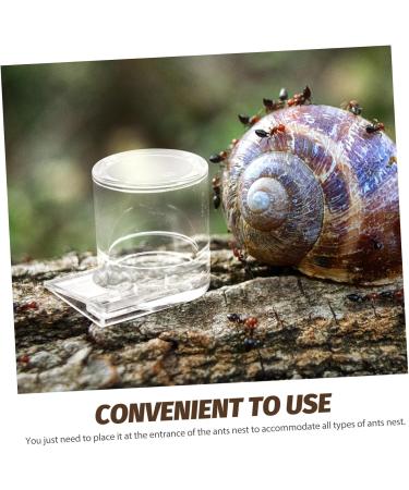 GRIRIW Pet Water Feeder Ant Water Feeders Ant Waterer Cup Water Feeding Cup for Ant Nest Clear Ants Feeder Ant Keeper Tools Ant Feeding Cup Ant Watering Cup Ant Keeping Ant Bottle Feeder - Buy Online on SooperMarket.com