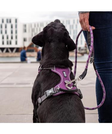 DOG Copenhagen Comfort Walk Pro Harness - Size XL Black - Buy Online on SooperMarket.com