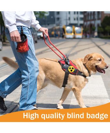 4 Pieces Blind Plug & Badge Set | Visual Impairment Help | 5.8 cm Diameter | International Shipping - Buy Online on SooperMarket.com