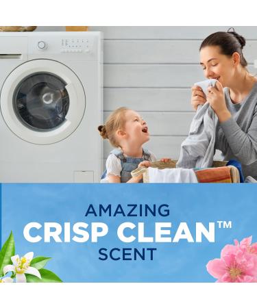 Buy Arm & Hammer Clean & Simple Laundry Detergent - 77 Loads 100.5 Fl oz | Eco-Friendly & Effective Cleaning Solution - International Shipping Available - Buy Online on SooperMarket.com