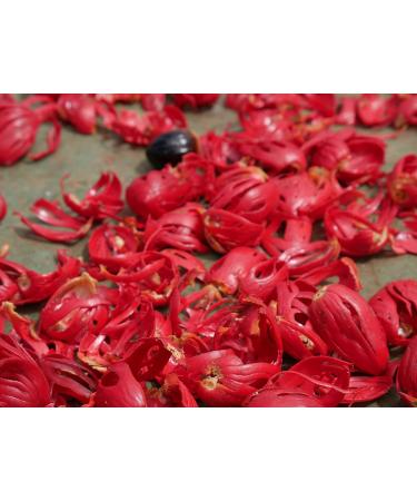 Buy Mandoi Organic Whole Mace (Macis) - 25g | Premium Nutmeg Flowers from Indonesia - International Shipping - Buy Online on SooperMarket.com