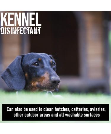 ULTIMA-PLUS XP Kennel Kleen 5L - Disinfectant Cleaner & Sanitiser with Bubblegum Fragrance - Concentrated for Kennels, Catteries & Hatches - Buy Online on SooperMarket.com
