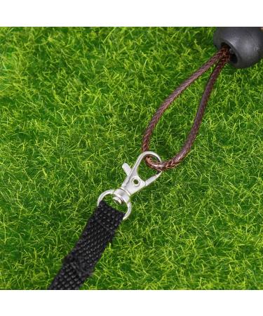 Adjustable Lizard Traction Rope Climbing Pet Belt - 3 Pieces Cool Leather Wings Leash for Training | International Shipping - Buy Online on SooperMarket.com