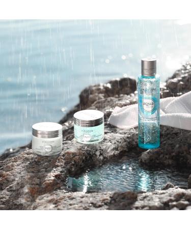 L'OCCITANE Aqua R otier Ultra Thirst-Quenching Gel 50ml | Vegan & 98% Readily Biodegradable | Enriched with Macro Hyaluronic Acid | Clean & Luxury Beauty Skincare for All Skin Types - Buy Online on SooperMarket.com