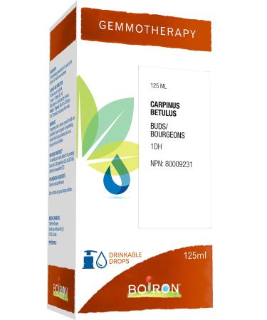 Gemmotherapy carpinus betulus buds (hornbeam) 1dh 125ml homeopathic medicine 125 milliliter by Boiron Canada