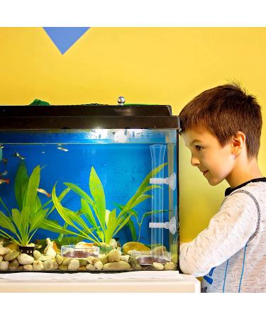 3-Piece Shrimp Feeding Set: Glass Shrimp Feeding Tube, Feeder Tube, and 2 Aquarium Feeding Dishes - Fish Tank Supplies - Buy Online on SooperMarket.com